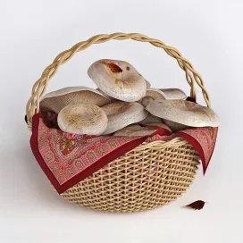 Mushrooms in a basket white mushrooms